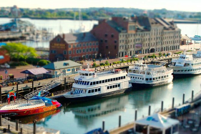 Best Of Boston: Harvard, MIT, Harbor Cruise Small Group Day Trip - Boston Harbor Cruise: Summer’s Hour You’ll Actually Remember