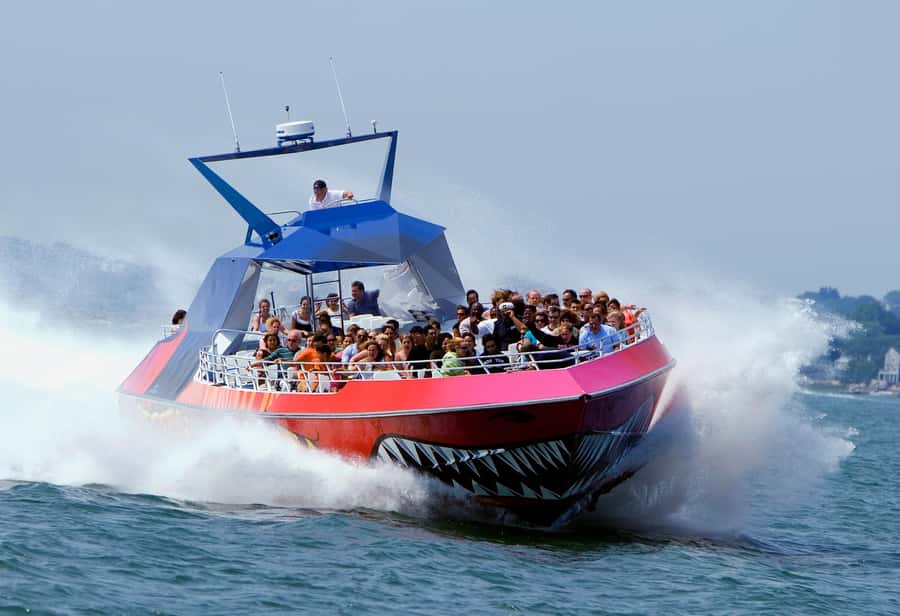 Boston: City Cruises Harbor Codzilla High Speed Thrill Boat - Key points to know before you go