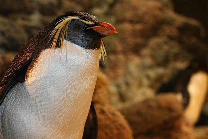 Boston CityPASS® - Stop 1: New England Aquarium