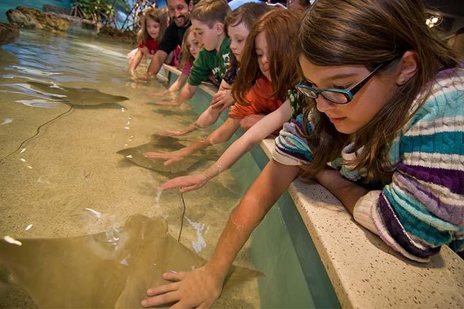 Boston CityPASS® - Franklin Park Zoo: a full-feeling family day