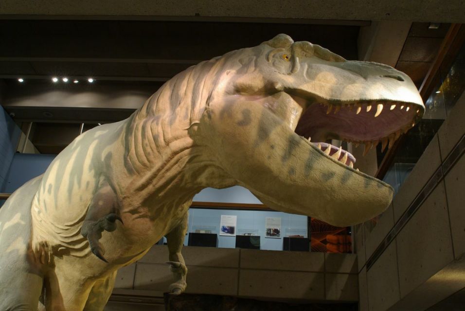 Boston CityPASS®: Save up to 46% at 4 Top Attractions - The scan-in process: easy, but don’t forget the mobile ticket