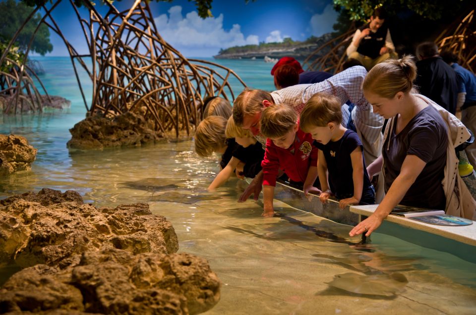 Boston CityPASS®: Save up to 46% at 4 Top Attractions - New England Aquarium: marine life, plus the kind of moments kids remember