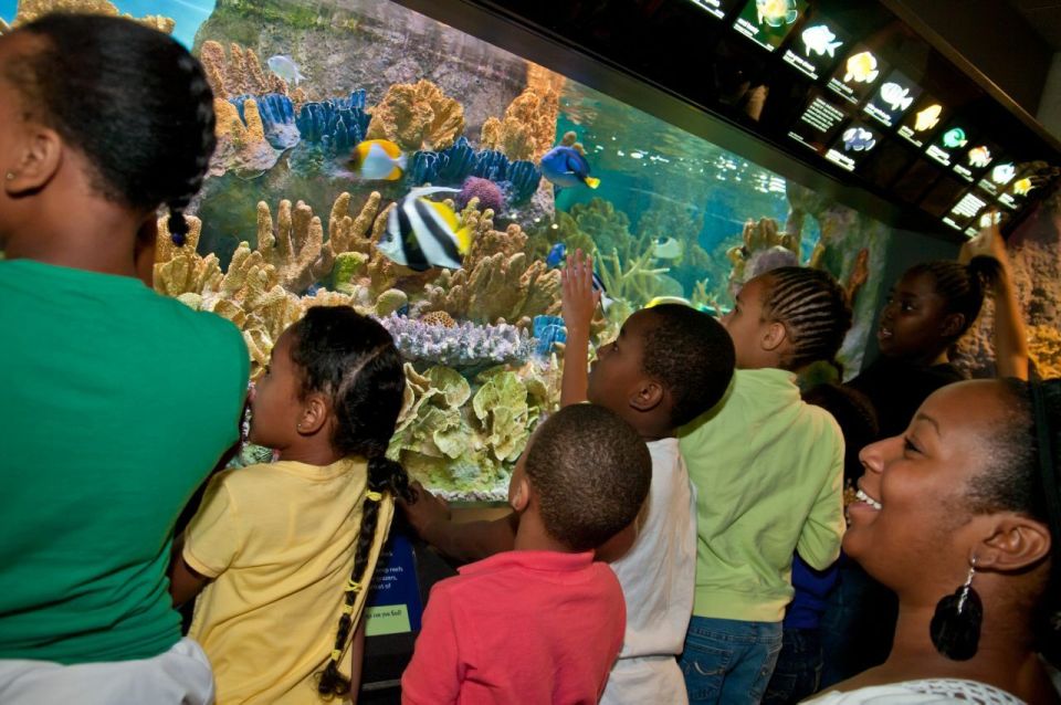 Boston CityPASS®: Save up to 46% at 4 Top Attractions - Museum of Science: a strong “do something today” option