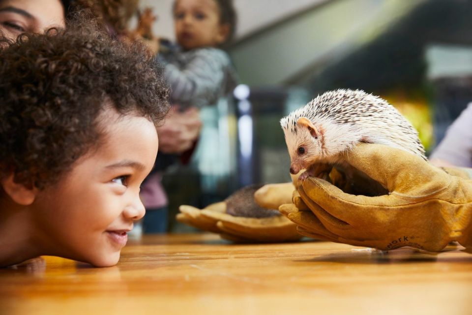 Boston CityPASS®: Save up to 46% at 4 Top Attractions - Your two “choose-your-own” picks: how to select the right combo