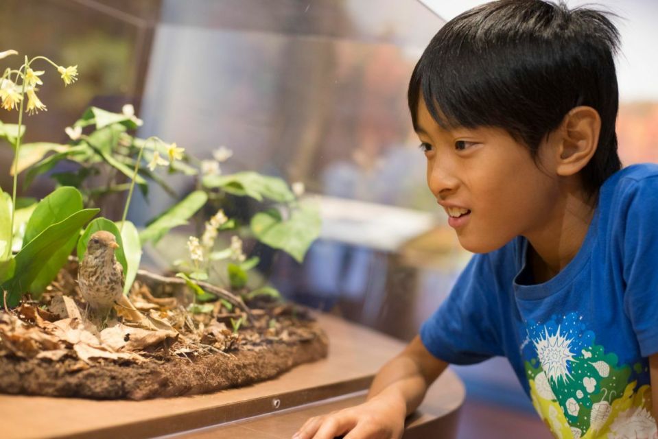 Boston CityPASS®: Save up to 46% at 4 Top Attractions - A sample way to structure your four attractions (so it feels relaxed)