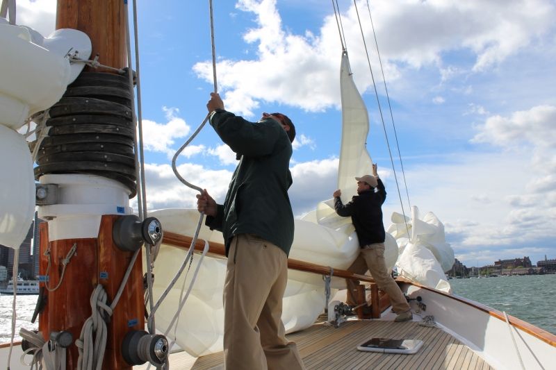 Boston: Downtown Harbor Sailing Cruise - What to eat: no food included, but you can bring a picnic