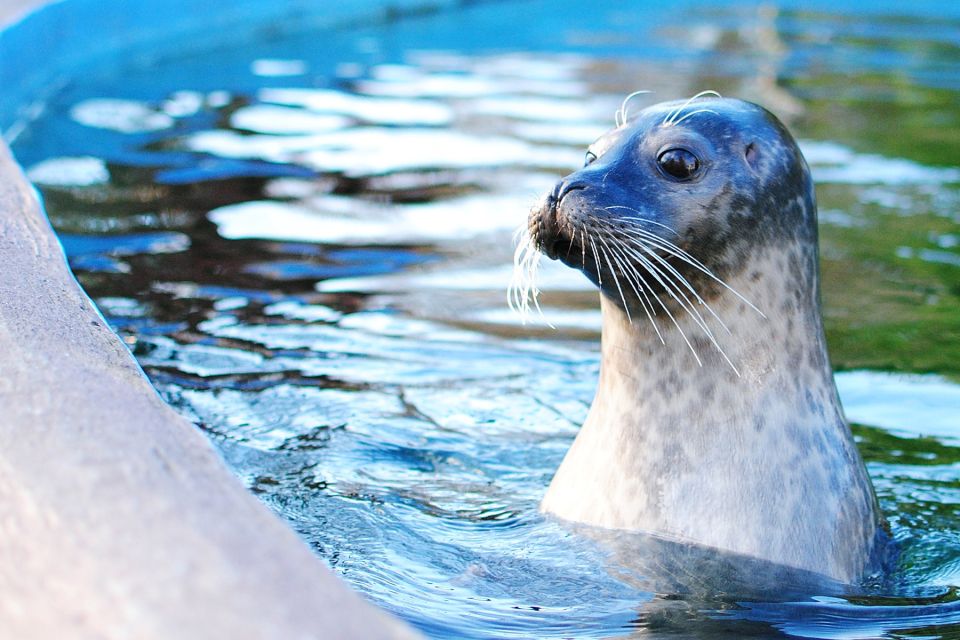 Boston: Explorer Pass Save up to 50% on 30+ Top Attractions - Harvard and Neighborhood Tours: Learning Without Feeling Like Homework