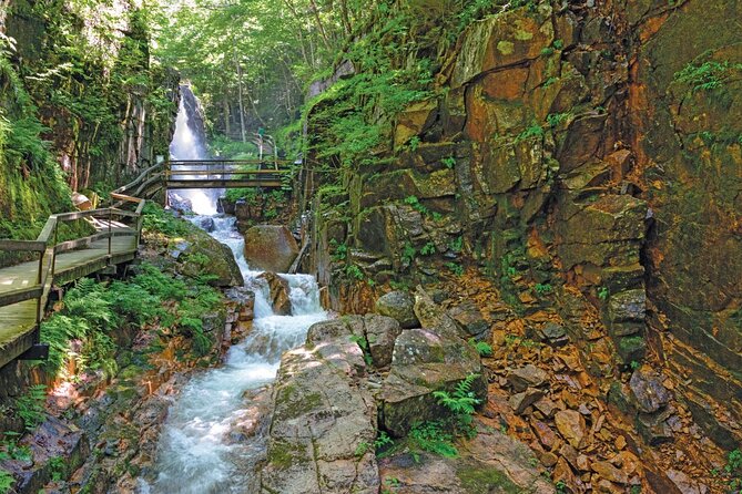 Boston Fall Foliage Day Trip to White Mountains, Lost River Gorge - Key highlights you should know