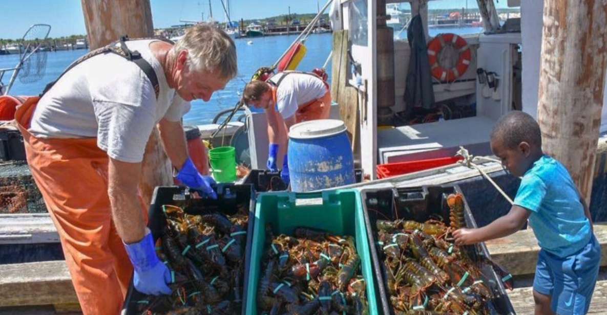 Boston: Kennebunkport Day Trip with Optional Lobster Tour - Matt the guide: history stories that don’t drag