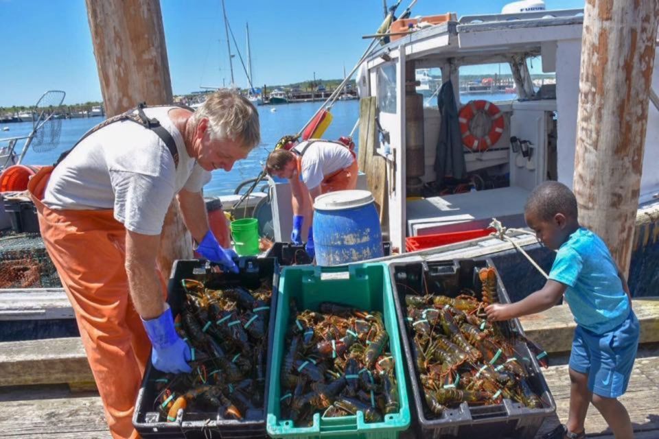 Boston: Kennebunkport Day Trip with Optional Lobster Tour - Maine stops and shopping time: when browsing actually fits the schedule