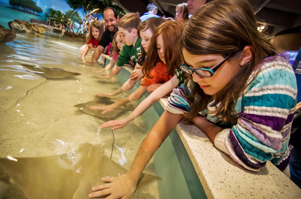 Boston: New England Aquarium Skip-the-Line Entry Ticket - Key Takeaways Before You Go