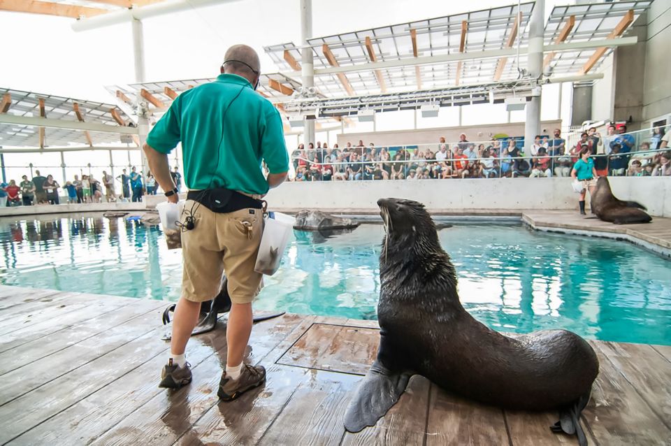 Boston: New England Aquarium Skip-the-Line Entry Ticket - Practical Stuff That Makes the Day Easier
