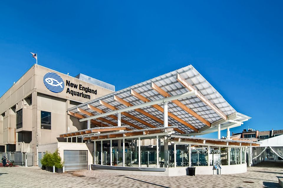 Boston: New England Aquarium Skip-the-Line Entry Ticket - Your $39 Ticket: What Skip-the-Line Actually Buys You