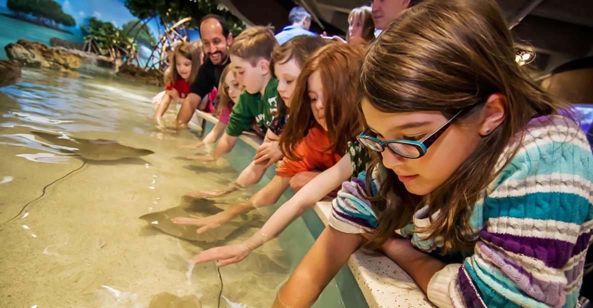 Boston: New England Aquarium Skip-the-Line Entry Ticket - Pacific Community Reef for Color, Plus Sea Lions in the Marine Mammal Center