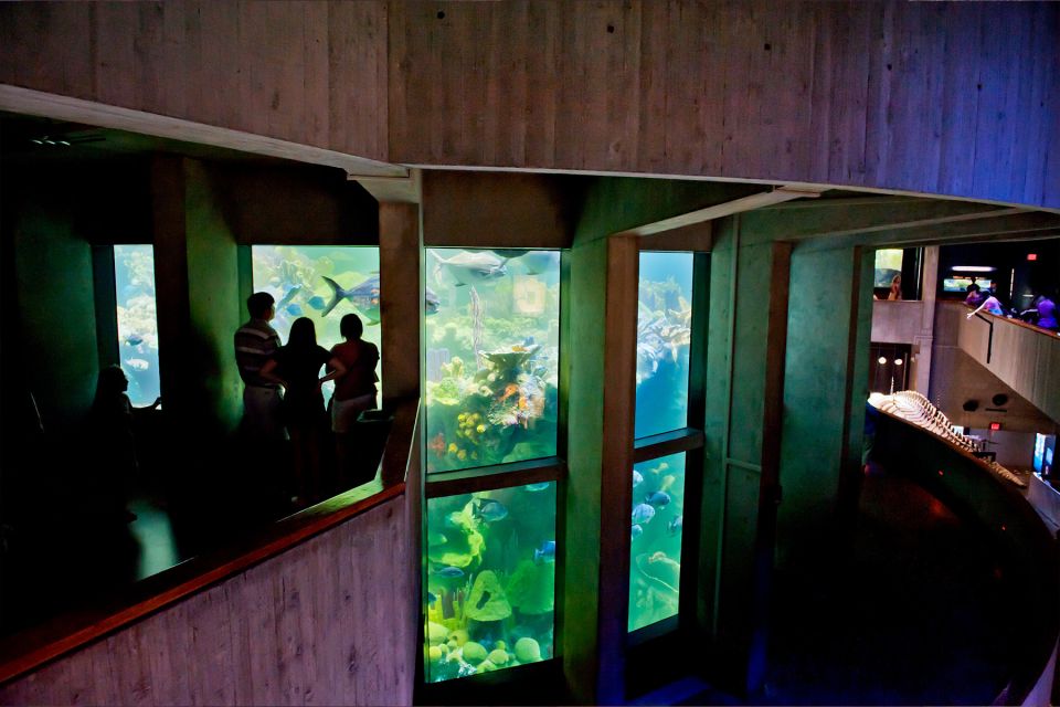Boston Pass: Save up to 50% - Includes Franklin Park Zoo - Planning With the Go City App: Your Shortcut Through 45+ Options