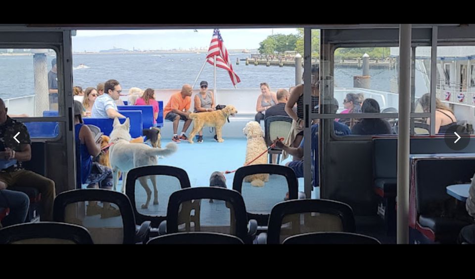 Boston: Scenic Harbor Cruise (Dog-Friendly) - Accessibility and who this cruise suits best