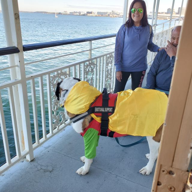 Boston: Scenic Harbor Cruise (Dog-Friendly) - Price and value: is $31 a good deal?