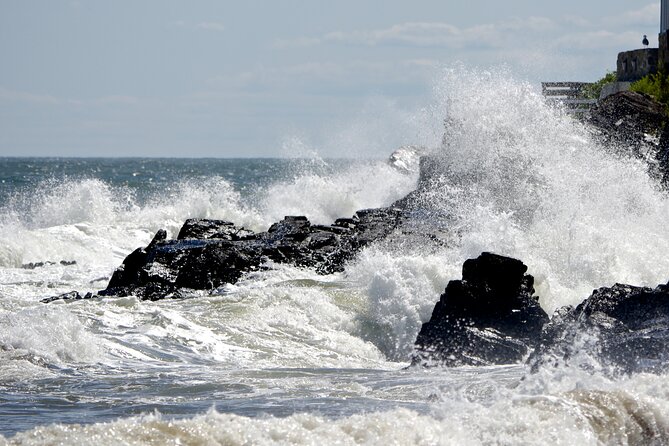 Boston to Kennebunkport Day Trip with Optional Trolley Tour - Price and value: what $135 buys you in real terms