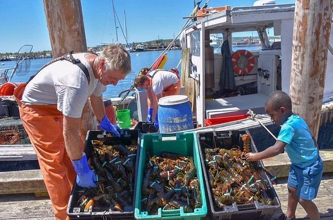 Boston to Kennebunkport with Optional Lobster Tour - Comfort, Snacks, and How the Van Changes the Day