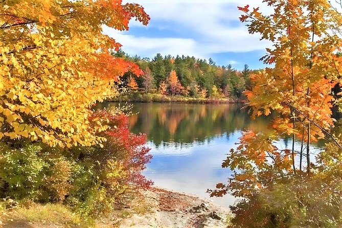 Boston to New Hampshire Fall Foliage White Mountains Day Trip - Boston to White Mountains: why the Kancamagus Highway is the main reason to book