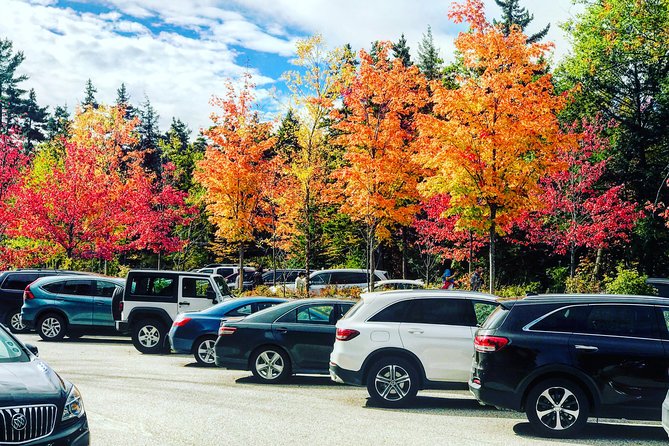 Boston to New Hampshire Fall Foliage White Mountains Day Trip - North Conway: lunch on your own and a real town stop