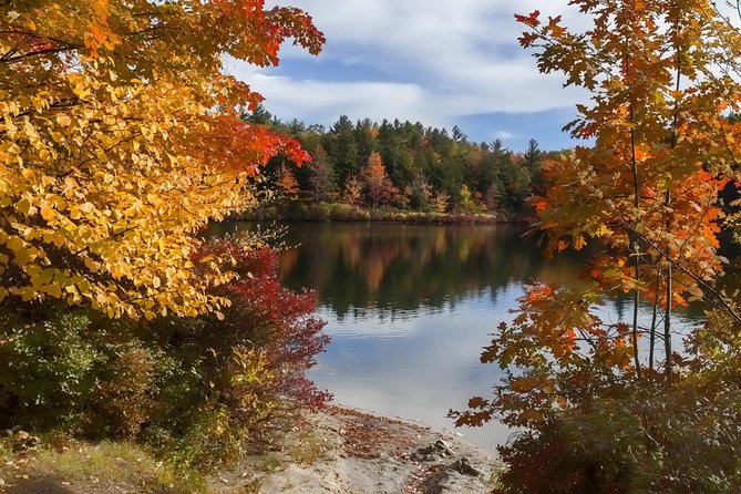 Boston to New Hampshire Fall Foliage White Mountains Day Trip - Timing and the reality of color: when peak is late or already gone