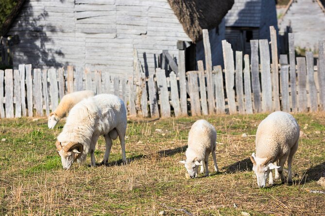 Boston to Plymouth Day-Trip including Quincy, Plimoth Patuxet and Mayflower II - Quincy and the Adams homes: presidential history with minimal detours