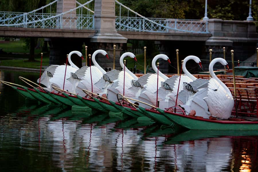 Boston: Top 10 Freedom Trail & 'Cheers' Guided Walking Tour - The guide matters: Barbara’s humor + tailored stories