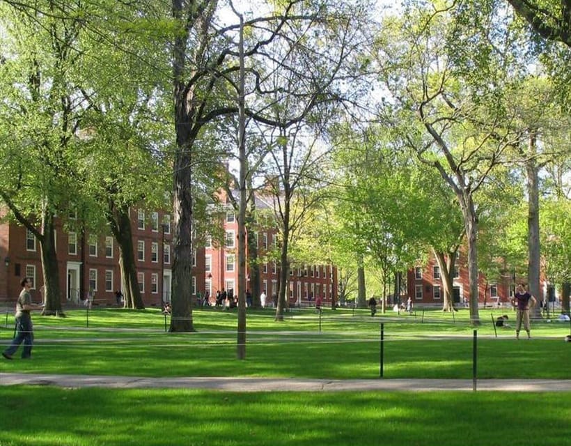 Cambridge, Massachusetts: MIT and Harvard Walking Tour - Harvard Square finish: turning a campus loop into a neighborhood visit