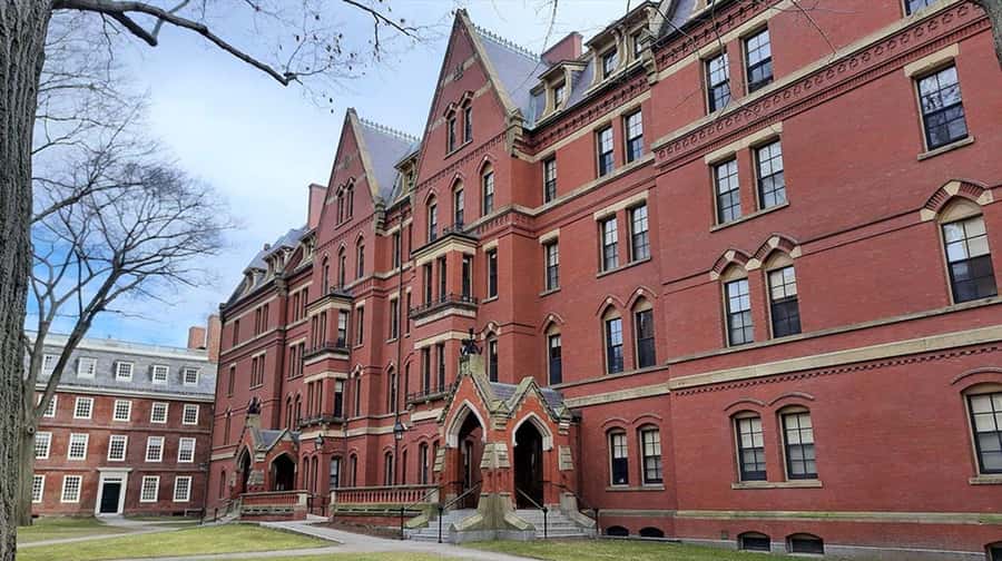 Cambridge, Massachusetts: MIT and Harvard Walking Tour - Value and the $49 question: what you actually get