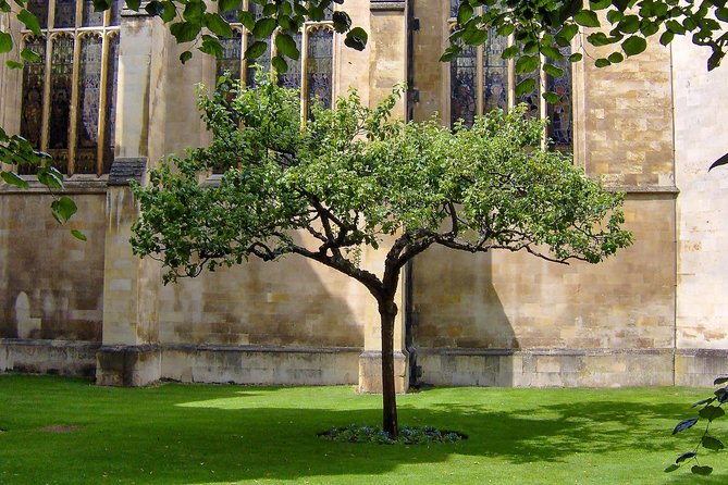 Cambridge University Walking Tour - Trinity College gatehouse and King’s Parade: Newton and chapel views without the crowds