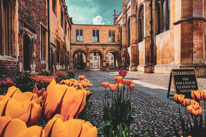 Cambridge's History & Secrets with Self-Guided Walking Tours - Stop 2: University of Cambridge Origins and What Study Feels Like