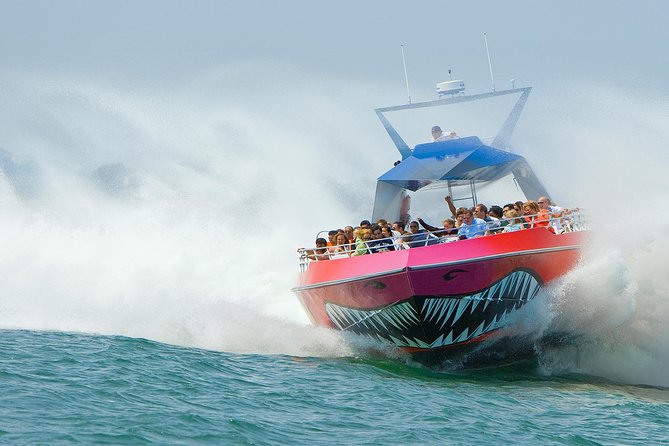 City Cruises Boston Codzilla High-Speed Thrill Boat Ride - Codzilla in a nutshell: what to know before you buy