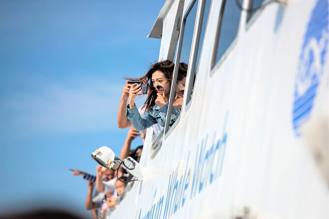 City Cruises Boston Whale Watching Cruise by High-Speed Boat - Food, onboard extras, and what to pack for a half-day at sea
