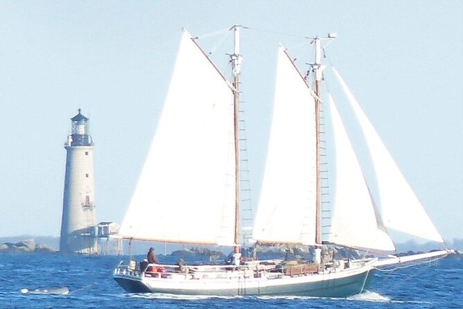 Classic Tall Ship Cruise in Boston Harbor - Skyline and waterfront views you cannot get from land