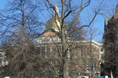 Downtown Freedom Trail Walking Tour - History & Architecture - Your route: from Faneuil Hall and the Old State House to Boston Common