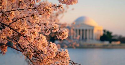 From Boston: 4-Day Tour to New York, D.C.&Niagara Falls - Day 1: Fortune Tour in NYC, plus cruises if you want