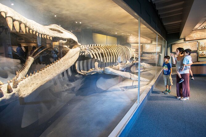 Go City: Boston Explorer Pass - Choose 2, 3, 4 or 5 Attractions - “North of Boston” day: Salem Witch Museum and Peabody Essex