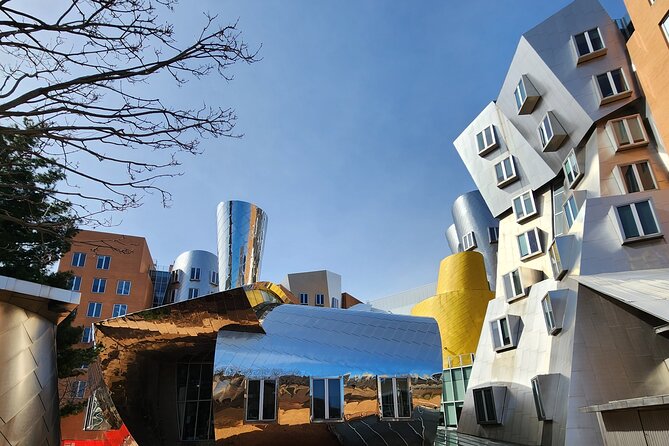 Illustrious Schools: Group Tour of MIT And Harvard - Harvard Bridge: Smoot markers and the best skyline photo moment