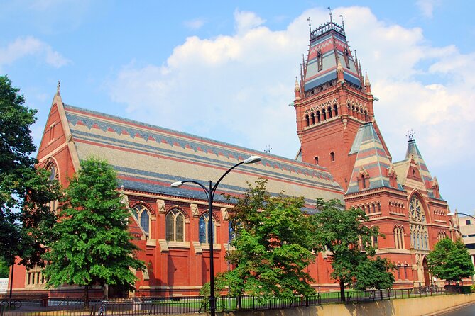 Illustrious Schools: Group Tour of MIT And Harvard - MIT Banana Lounge: the fun story stop that humanizes the campus