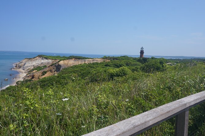 Martha's Vineyard Day Trip with Optional Island Tour from Boston - Optional 3-hour island tour: worth it, with a couple real-world cautions