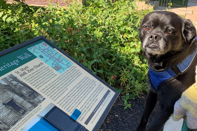 Mysteries on the Move: Scavenger Hunt in Boston - The 1.3-mile, 10-stop structure: why passcodes keep you engaged