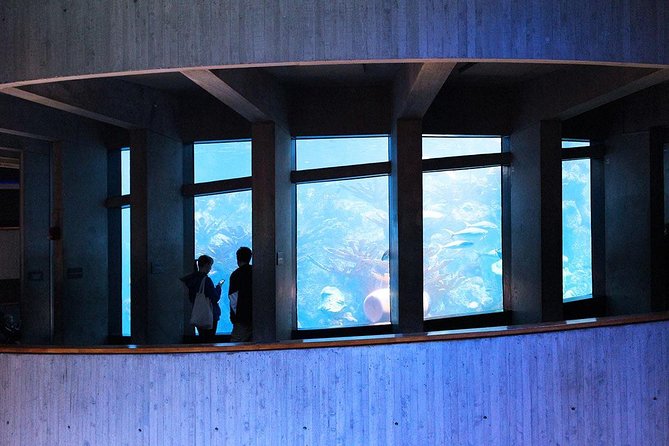 New England Aquarium Admission Ticket in Boston - Key Takeaways Before You Go