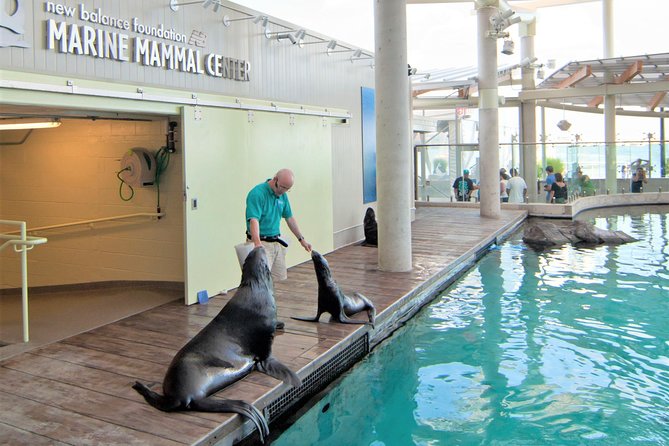 New England Aquarium Admission Ticket in Boston - Getting In Smoothly With a Mobile Ticket and Priority Entry