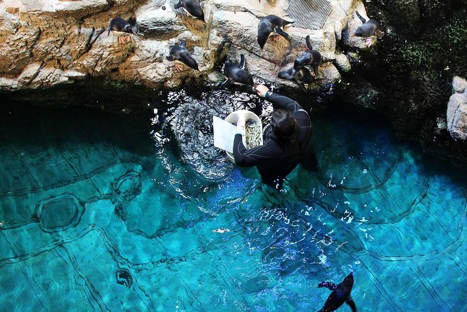 New England Aquarium Admission Ticket in Boston - Touch Tank and Turtle Encounters: Where Learning Feels Hands-On