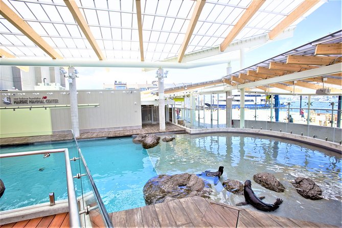 New England Aquarium Admission Ticket in Boston - Who This Aquarium Ticket Is Best For
