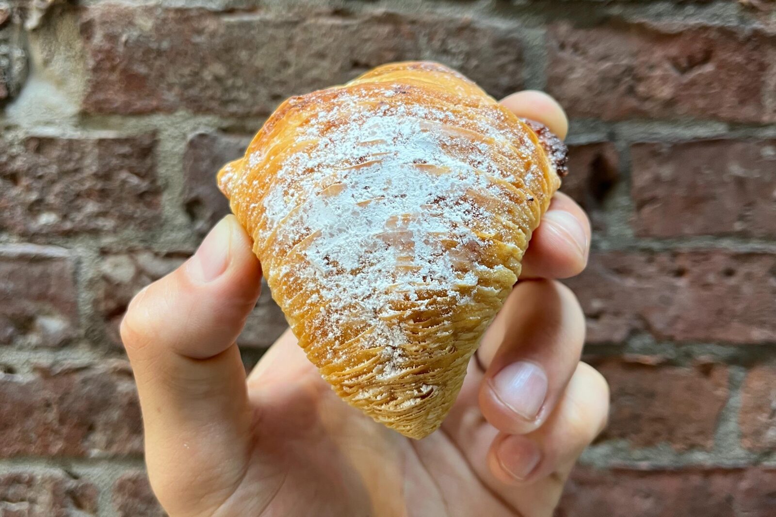 North End Bakery & Cafe Tour - The Guide Moment: Adam’s North End Storytelling Style