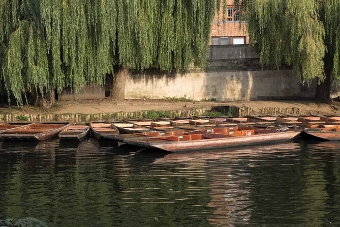 Private Cambridge Punting Tour - Price and value: $137.25 for up to 12 people
