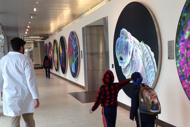 Public Innovation Trail Tour in Cambridge - Who this walk suits best