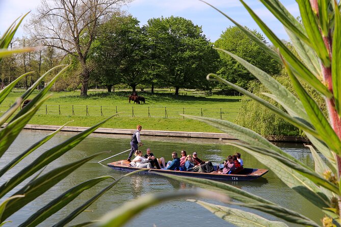 Shared Chauffeured Punt Tour - Clare College and Clare College Gardens: The Photo-Heavy Stretch